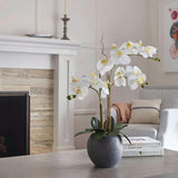 Artificial White Double Stem Orchid