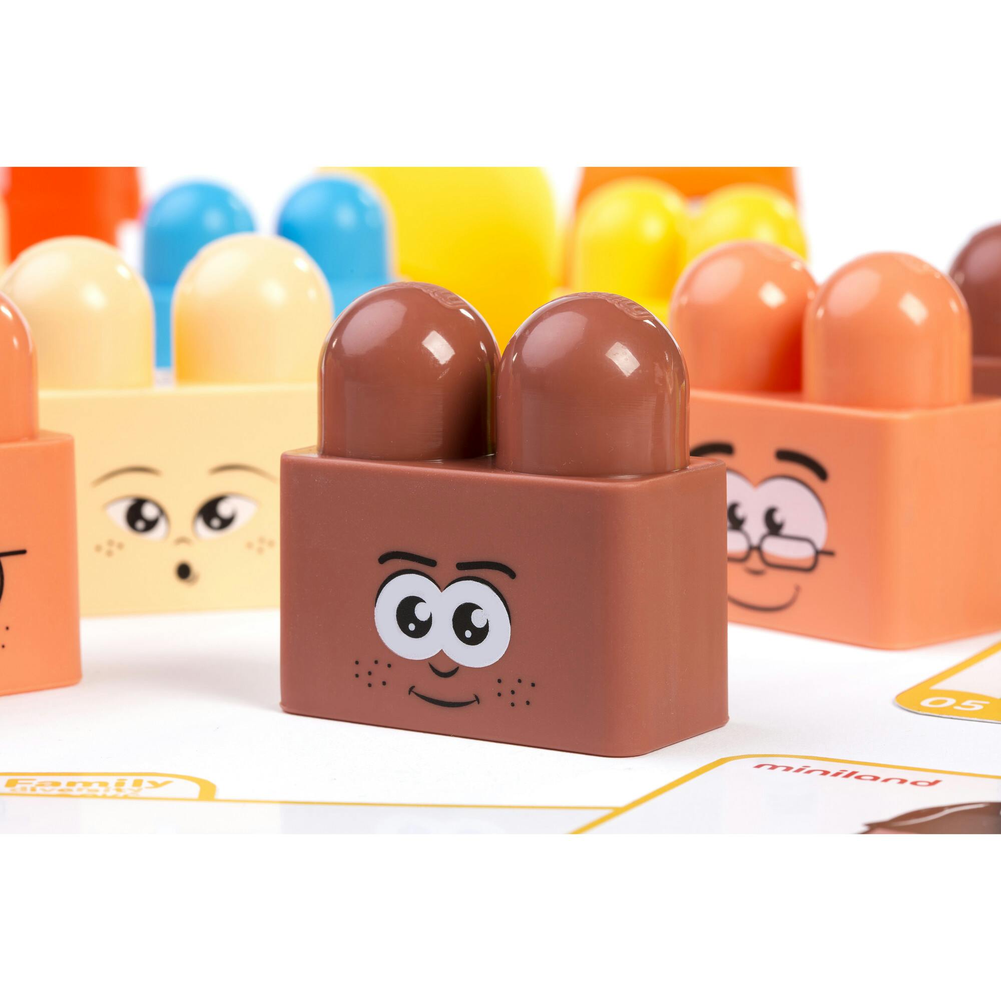 Family Diversity Blocks
