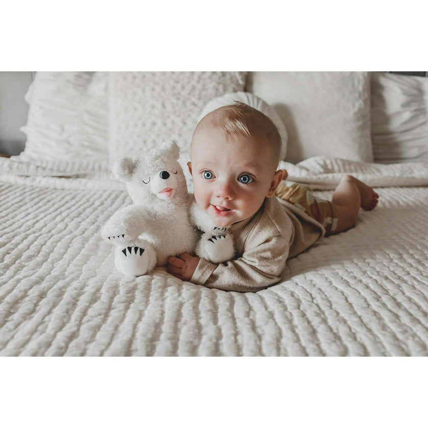 Little Bear - Snowy