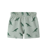 Infant Boys Short Sleeve Cabana Set | Green Stripe Dino