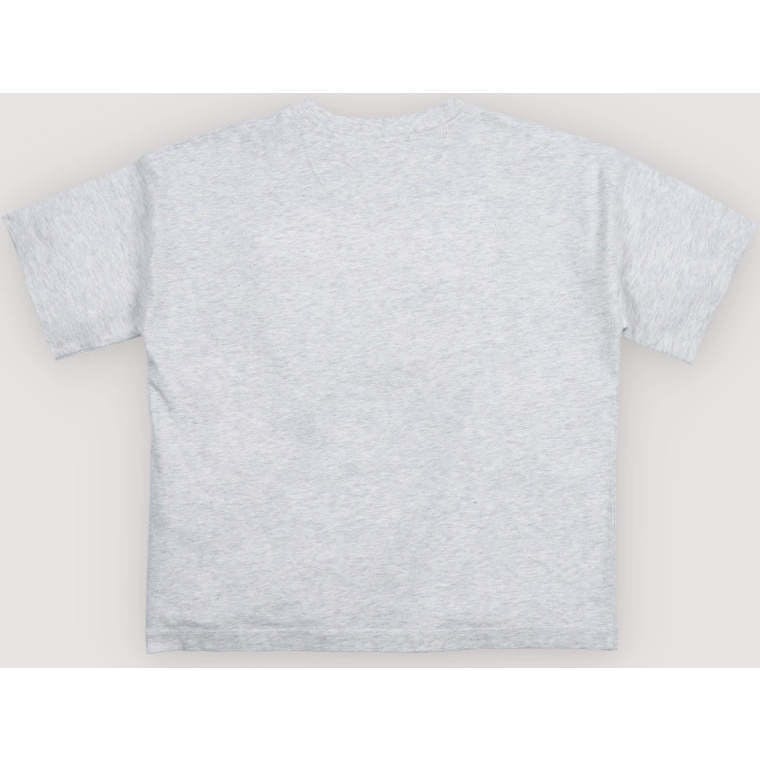 TNS Logo T-Shirt Light Grey Melange