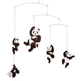 Panda.