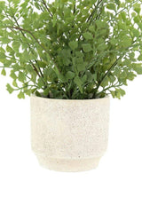 16" Faux Snake Plant & Fern Set