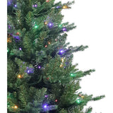 6-Foot Pre-Lit Multi-Colored LED Jackson Pine Tree