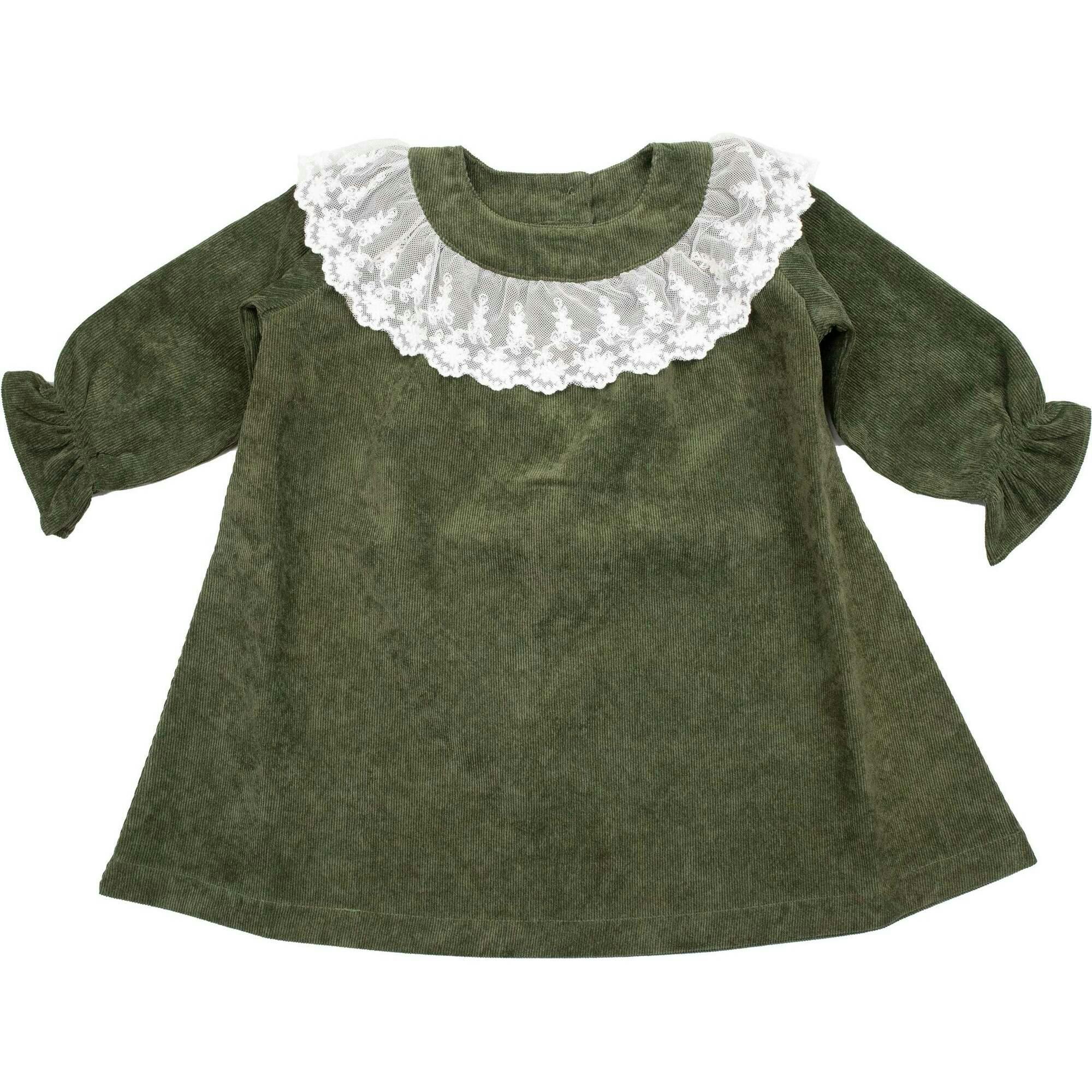 Lace Collar Dress