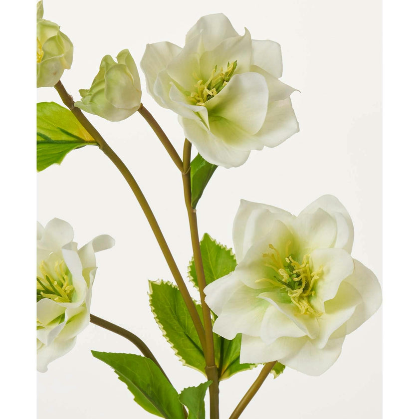 Real Touch Helleborus Stem 24" Single Real Touch Faux Floral Spray