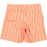 Beach stripes surfer swim shorts