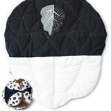 Little Acorn Bundle