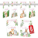 6-Piece Woodland Girl Baby Closet Dividers & 6-Piece Nursery Wall Art Prints Baby Shower Gift