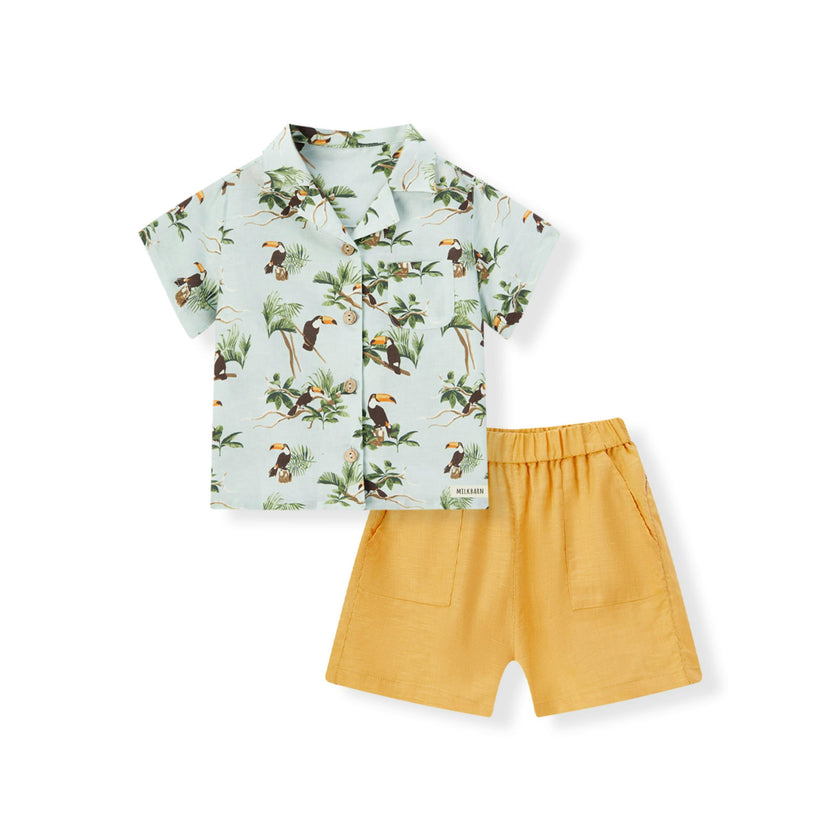 Blue Sky Linen Button-Up Shirt and Shorts Set