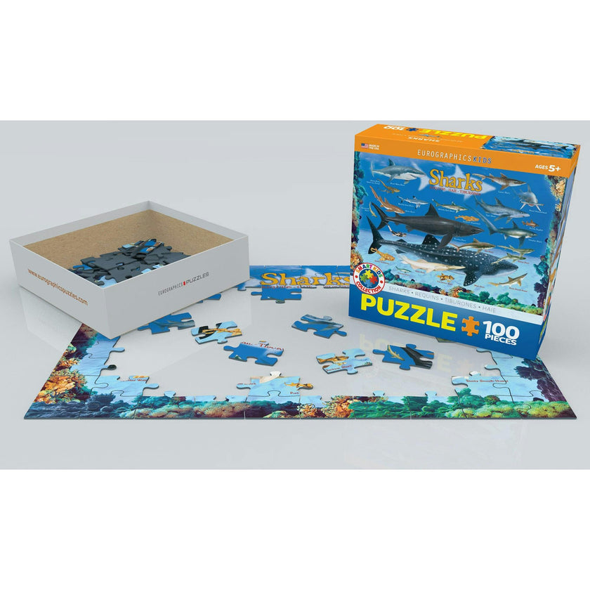 Smart Kids: Chart - 100 pc Puzzle