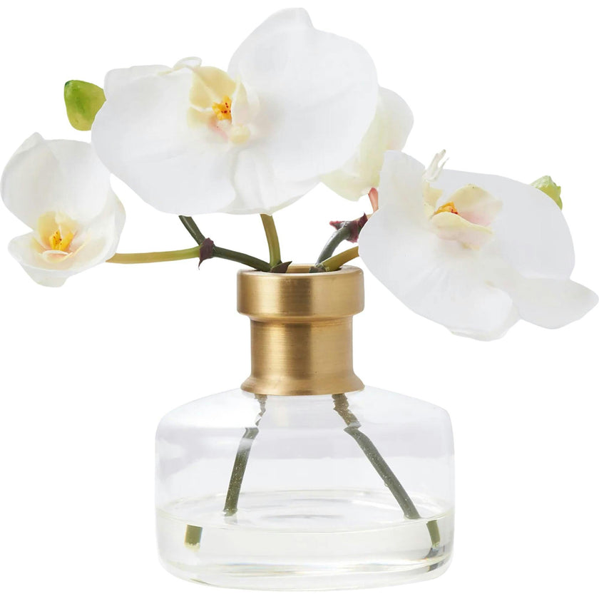 White Orchid Blooms in Rimmed Bottle Vase Water Illusion Arrangement