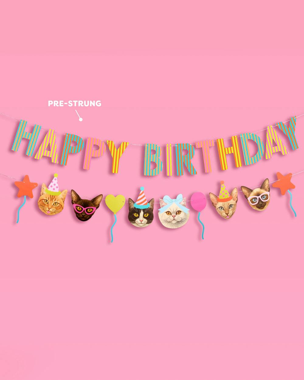 Crazy Cat Banner - really fun party banner