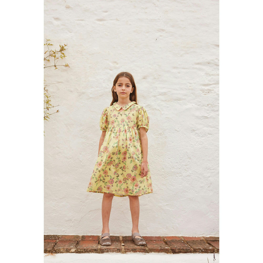 Sophia Dress