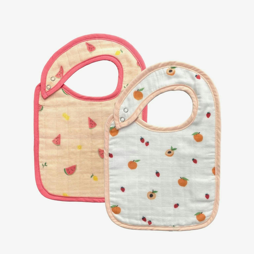 Watermelon & Peach Bib Set