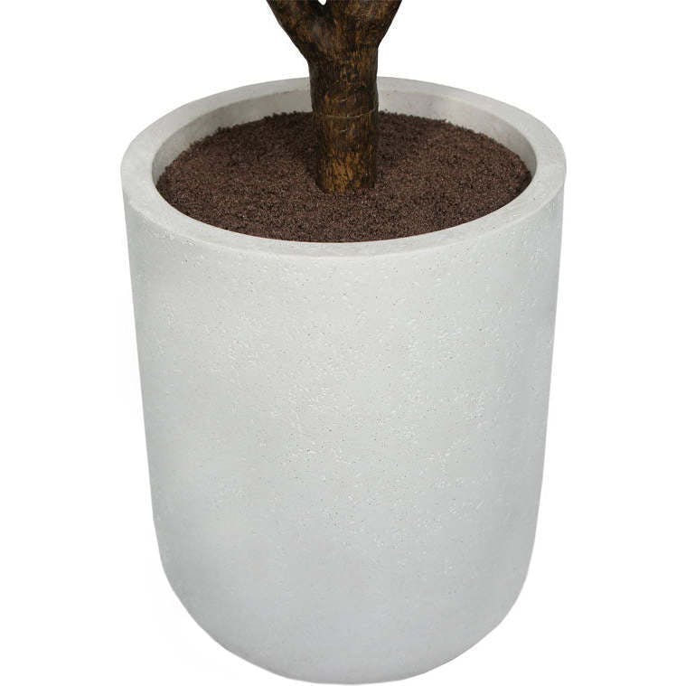 5' Rubber Ficus Tree in Modern Planter
