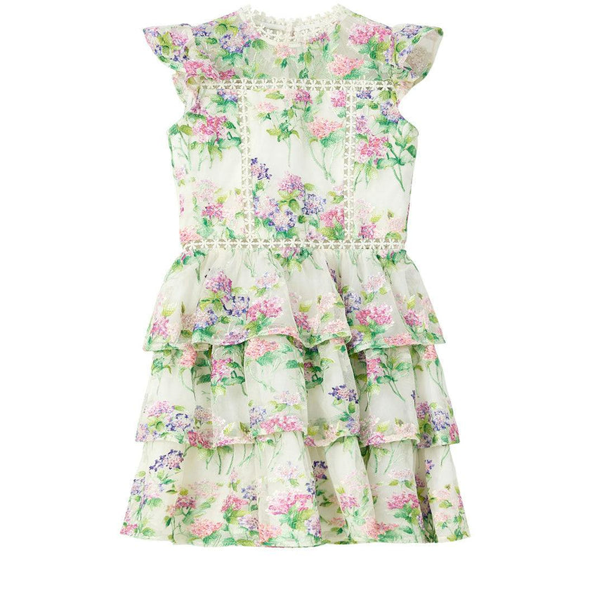 Clementine Embroidered Mini Dress