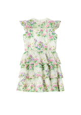Clementine Embroidered Mini Dress
