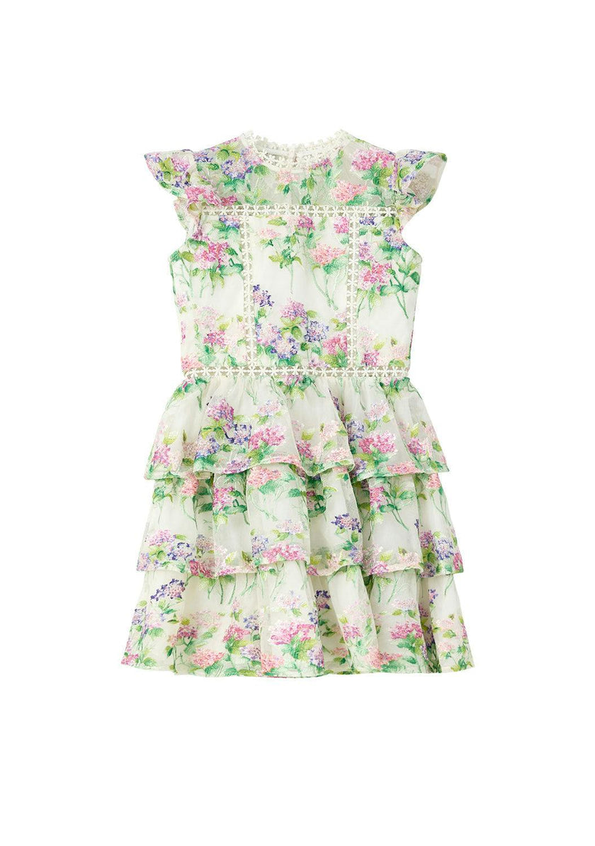 Clementine Embroidered Mini Dress