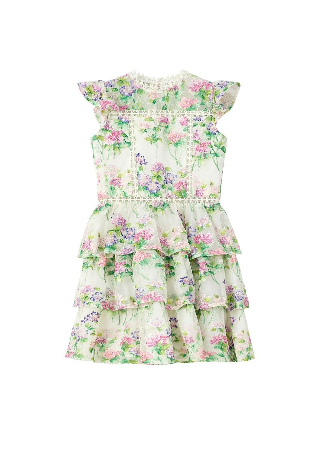 Clementine Embroidered Mini Dress