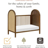 Bondi Cane 3-in-1 Convertible Crib with Toddler Bed Conversion Kit