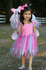 Butterfly Dress & Wings with Wand