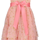 Cinderella Star Tulle Dress