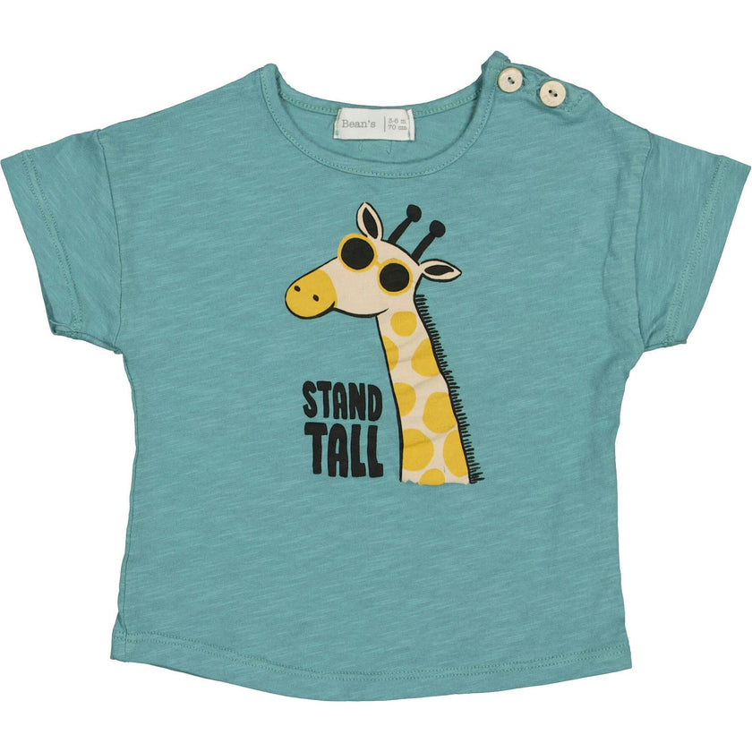 Print Short Sleeve T-Shirt