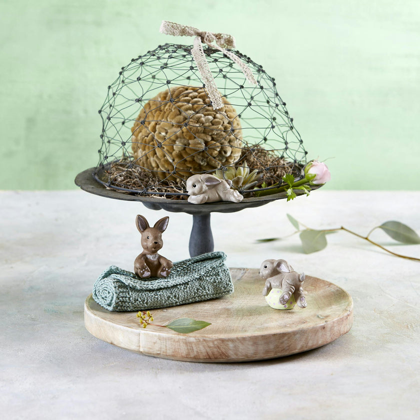 Nini Hare