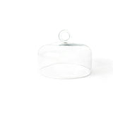 Large Ring Handle Glass Dome