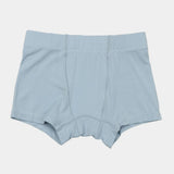 Boys Bamboo Underwear (3-pack)