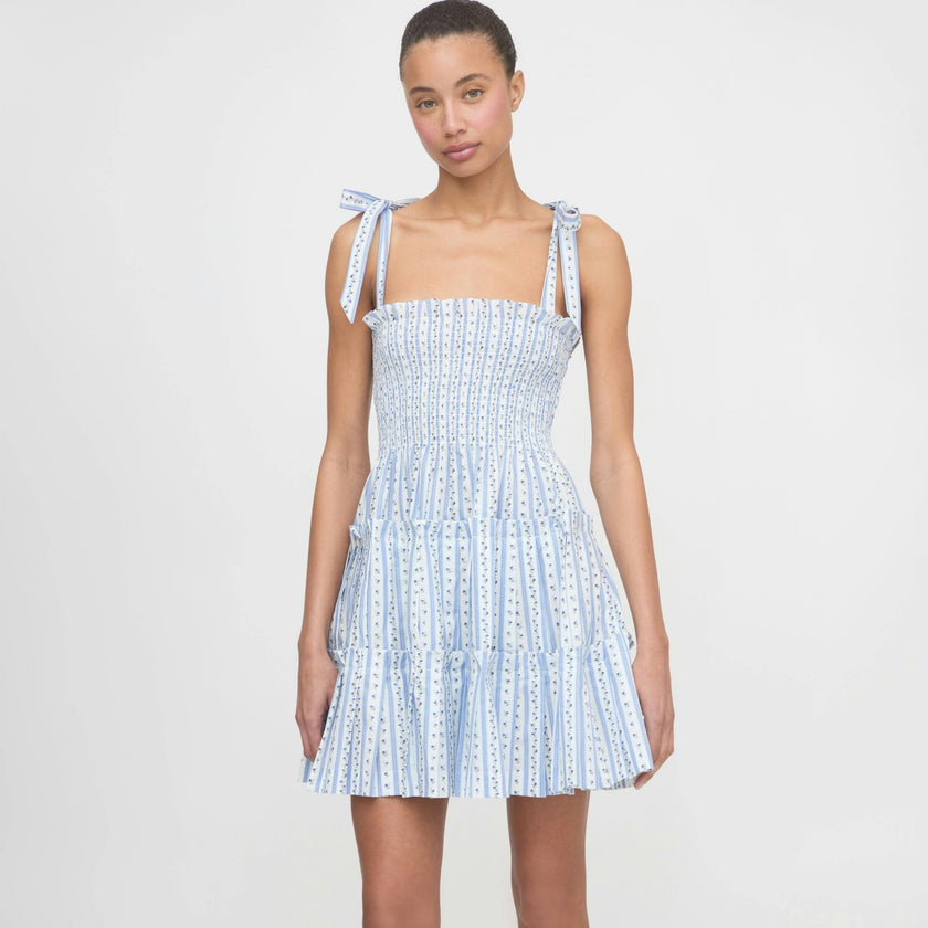The Ribbon Charlotte Nap Dress - Blue Petal Stripe