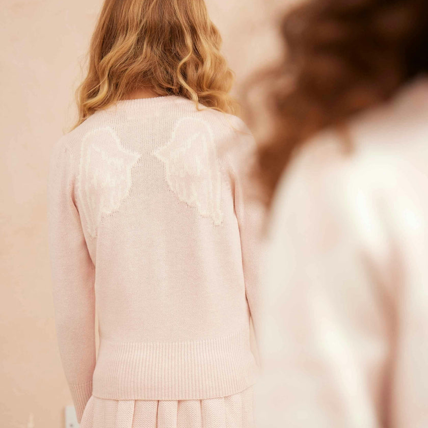 Angel Wings Jumper | Blush