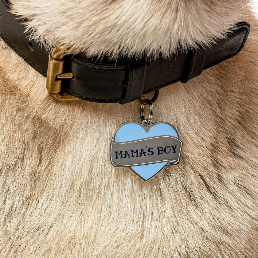 Mama's Boy Pet ID Tag
