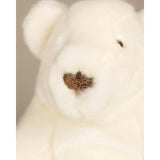 Paul-Emile the Polar Bear