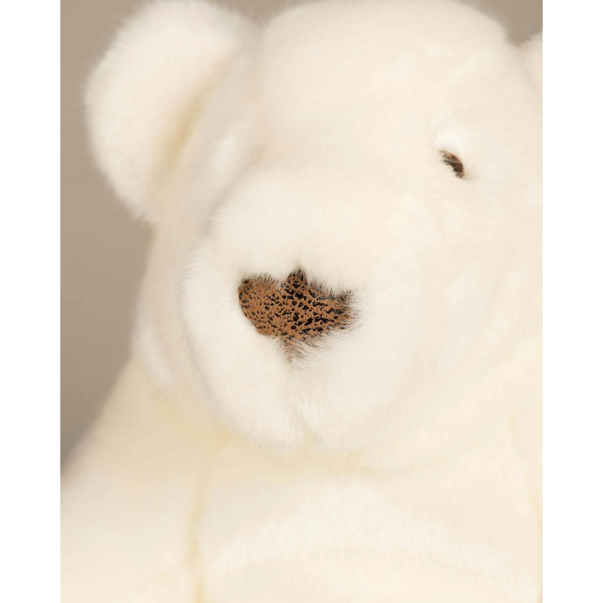 Paul-Emile the Polar Bear