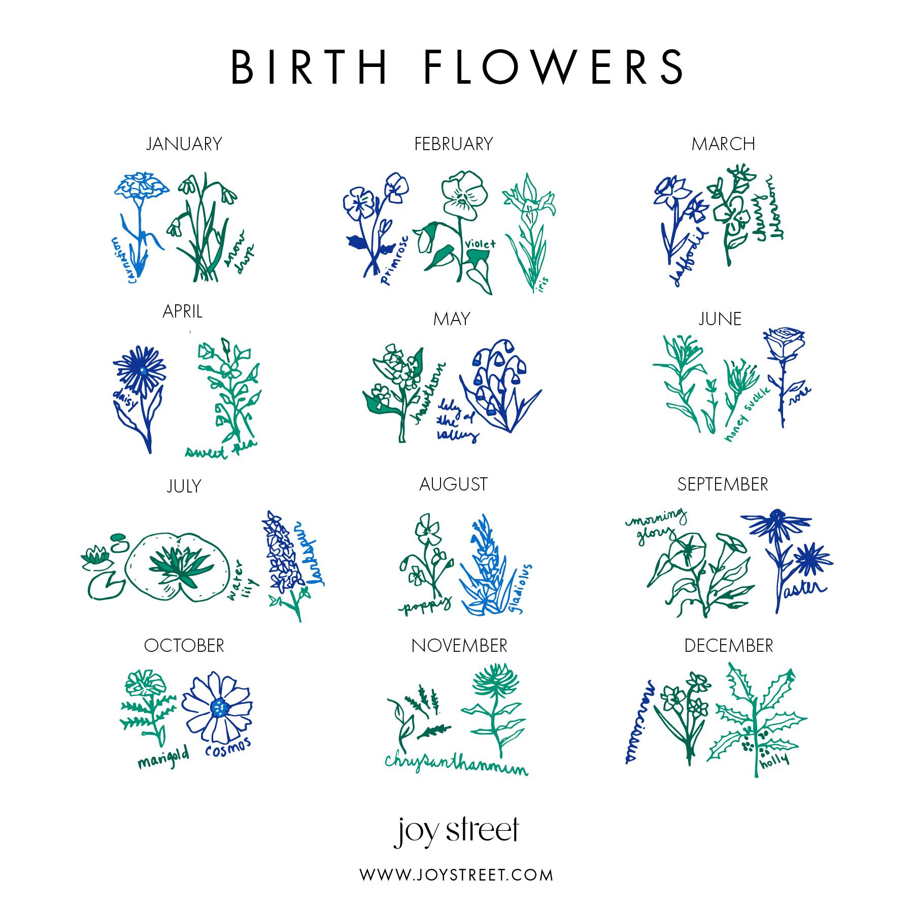 Birth Flowers Women’s Button Front Polo Short Pajama Set