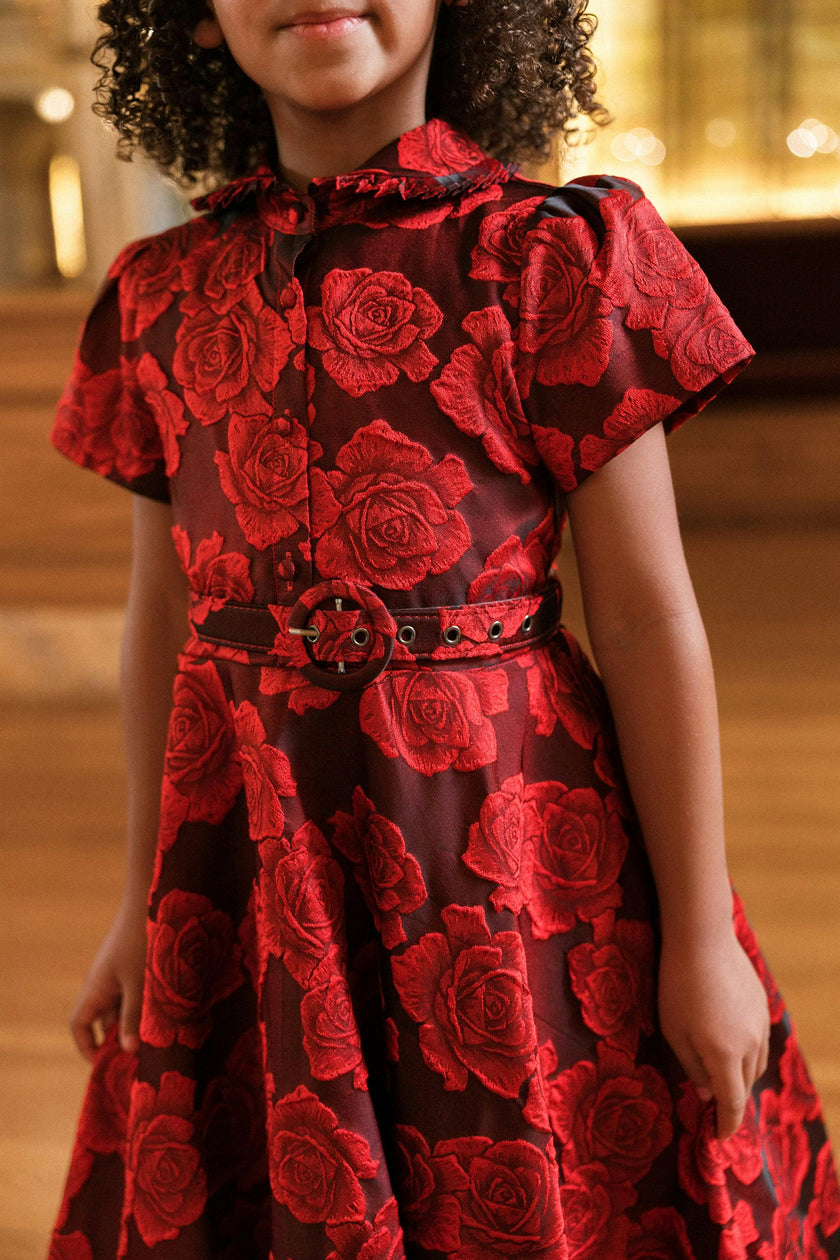 Mini Remi Dress in Vibrant Rose
