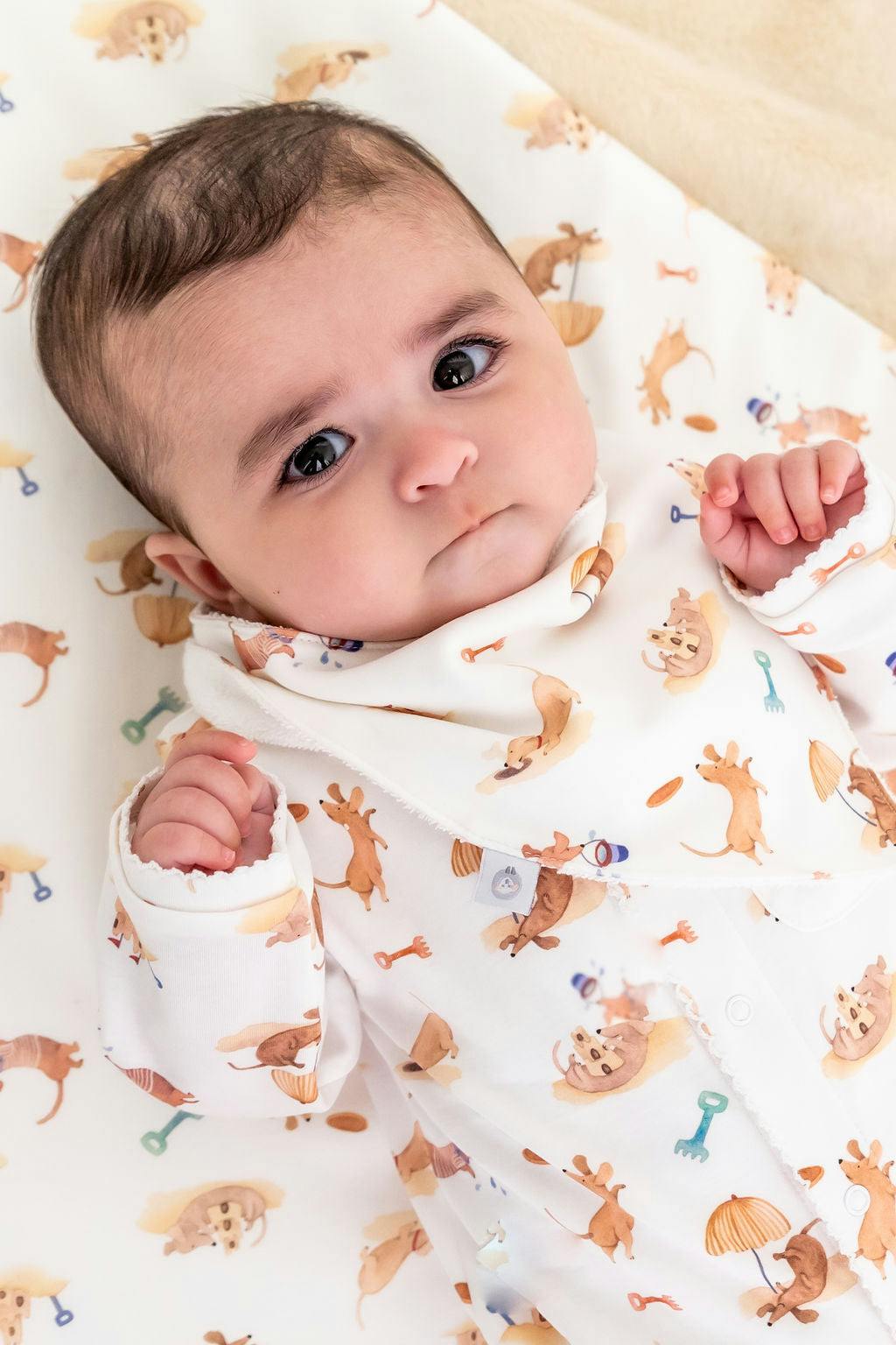 Beach Dogs Pima Cotton Baby Blanket