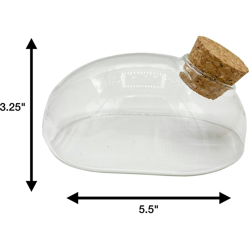 Glass Terrarium:
