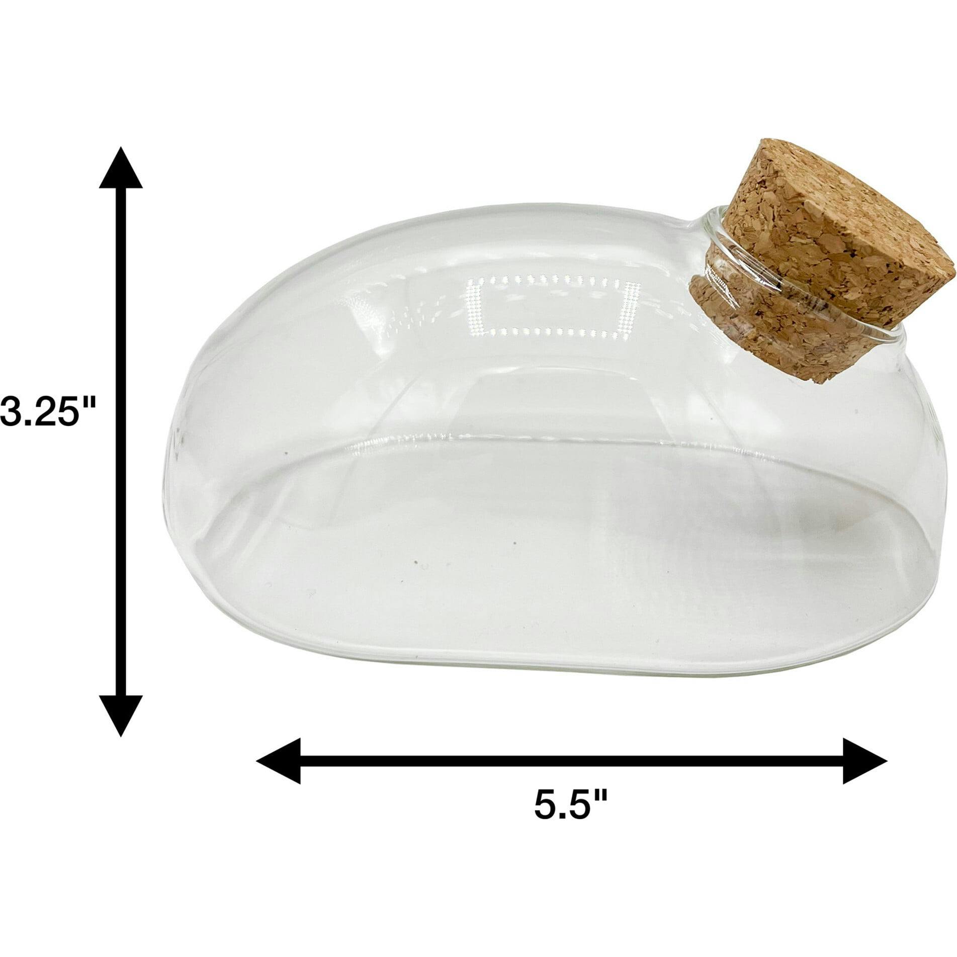 Glass Terrarium: