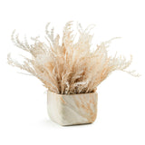 DH Wispy Pampas in Marble Pot