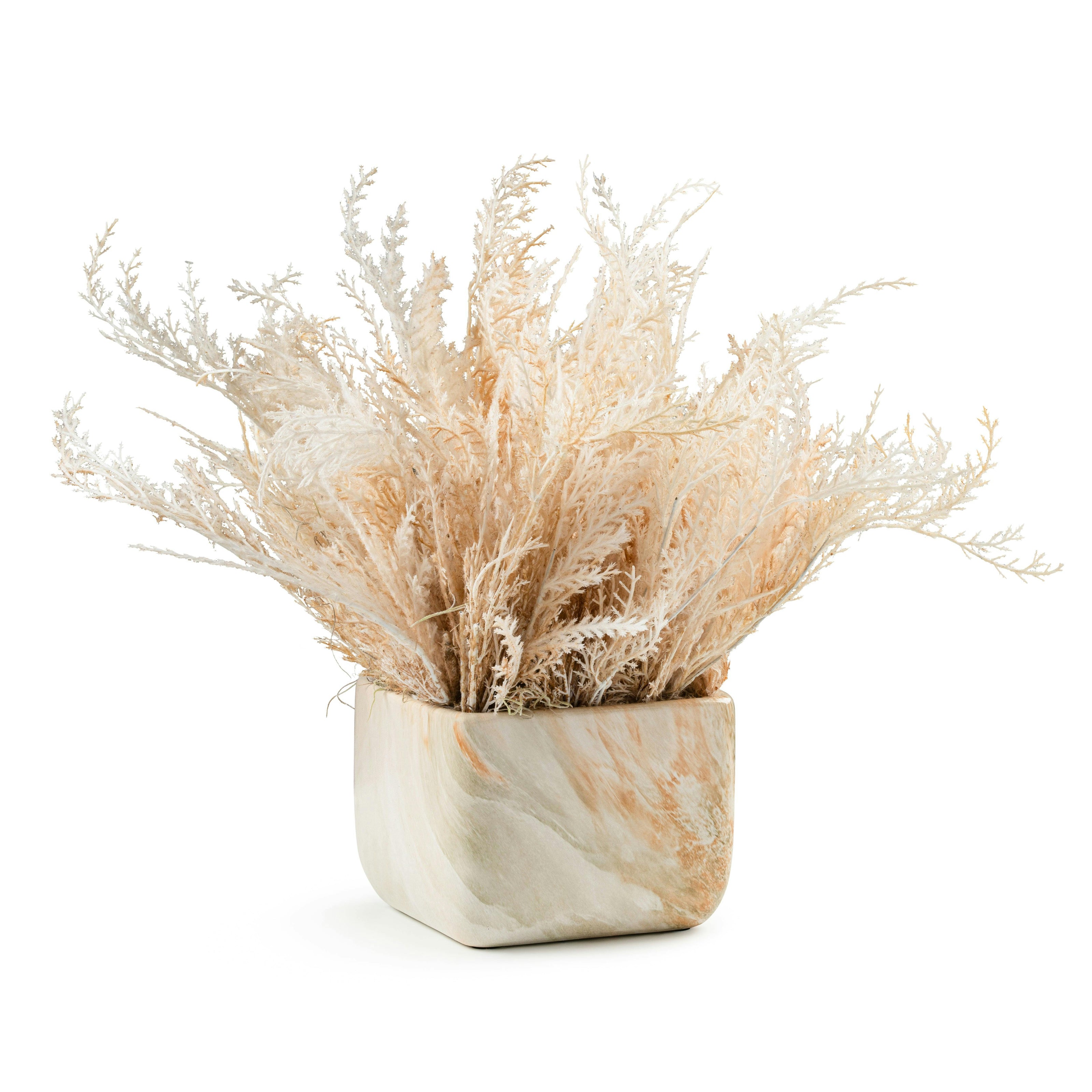 DH Wispy Pampas in Marble Pot