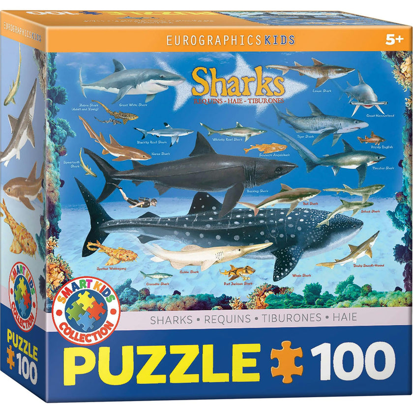 Smart Kids: Chart - 100 pc Puzzle