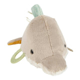 Dolphin Activity Toy