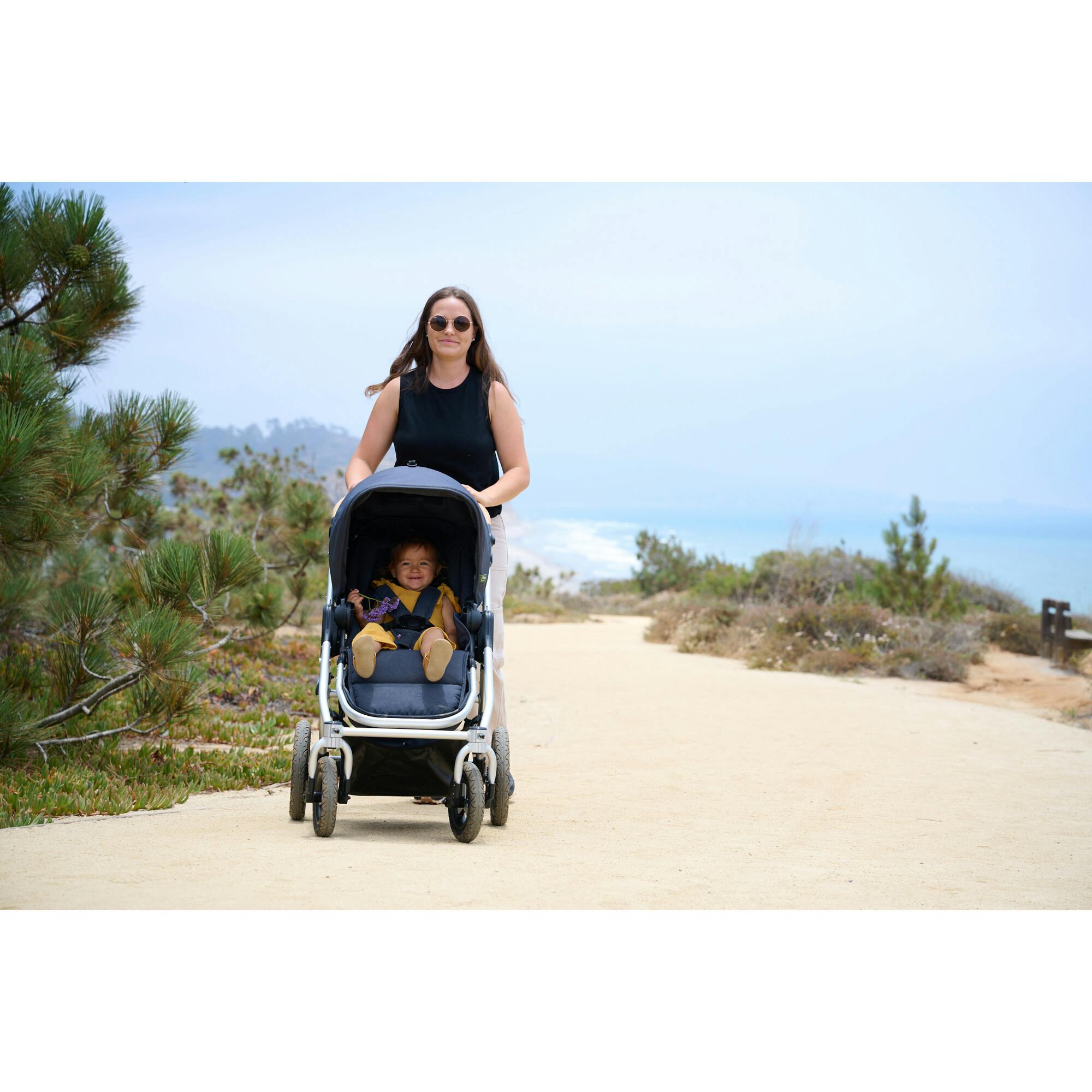 Era Dusk Reversible Stroller