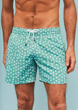 Green Puffer Fish Men's Swim Shorts