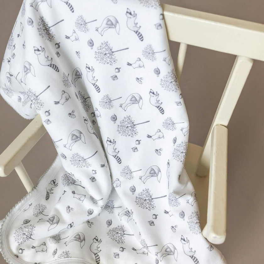 Gray Raccoon Pima Cotton Baby Blanket