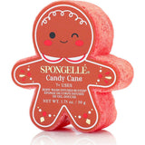 Gingerbread Body Wash Infused Buffer