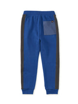 Colorblock Stripe-Out Joggers, Royal